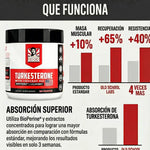 Turkesterone con ENVÍO GRATIS ⭐️⭐️⭐️⭐️⭐️