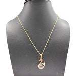 Collar Cisne 100 idiomas con ENVÍO GRATIS⭐️⭐️⭐️⭐️⭐️