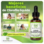 Clorofila Benevolent con ENVÍO GRATIS⭐️⭐️⭐️⭐️⭐️