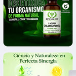 Clorofila Benevolent con ENVÍO GRATIS⭐️⭐️⭐️⭐️⭐️